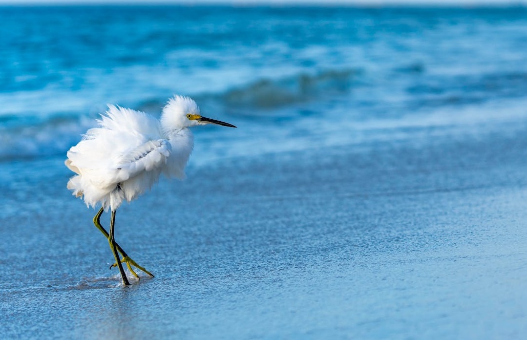 一部手机屏幕上显示着TikTok的评论区,人们在积极互动