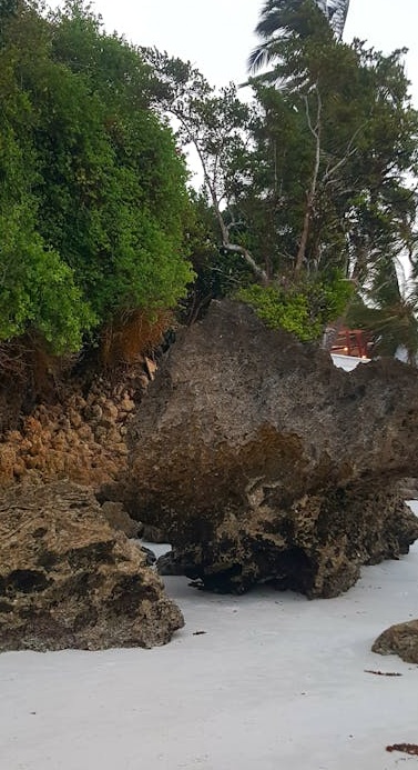 tk刷浏览量有效提升视频互动数据