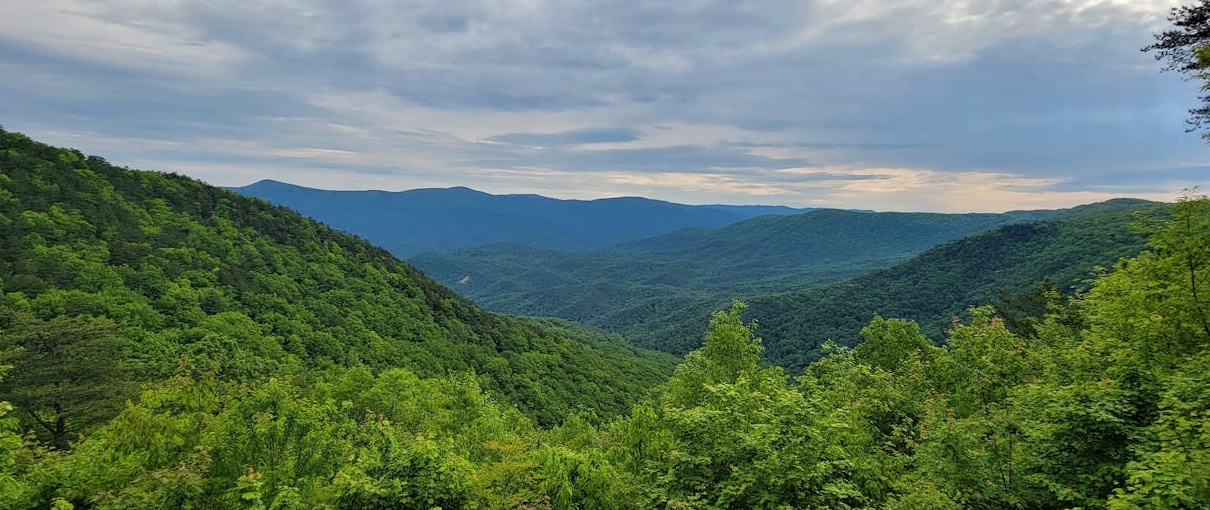 Instagram Reels视频界面