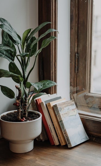 用户看到Instagram影片获得高浏览量后露出满意的表情