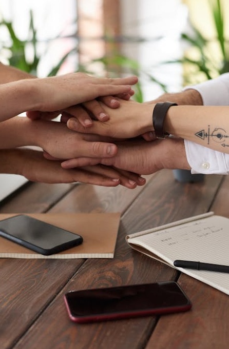 团队协作使用自动化工具进行社交媒体营销