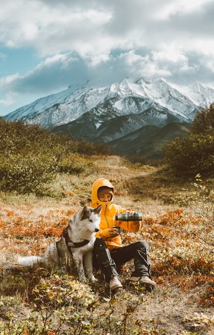 用户在手机上浏览Instagram Reels，享受内容