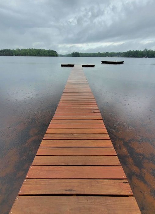 数据分析图表显示社交媒体账号的快速增长曲线