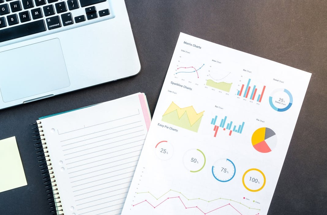 数据分析图表展示粉丝数量的稳步增长