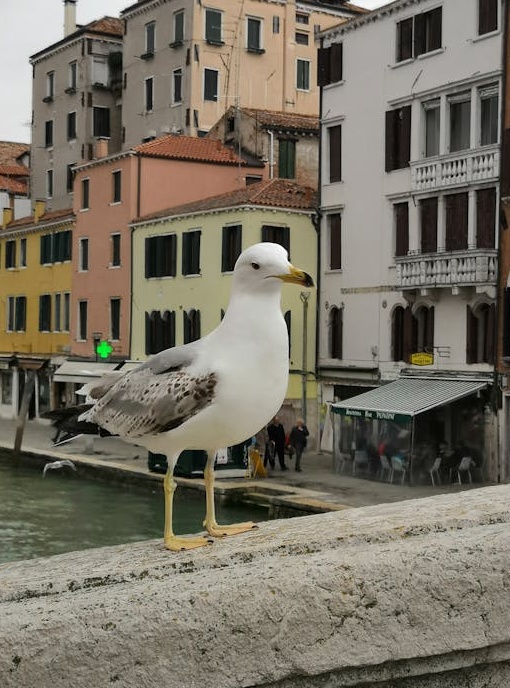 团队正在协作制定2025年Instagram营销策略