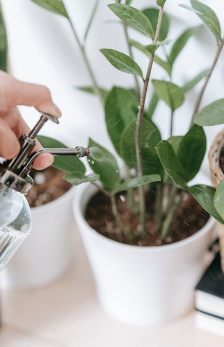 买推特粉后通过优质内容与真实用户互动