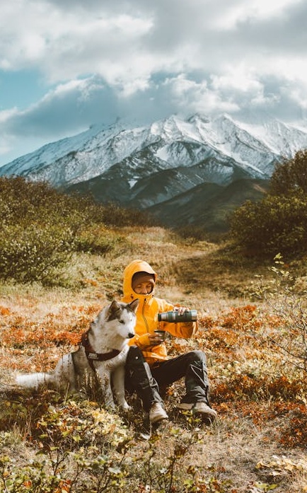一位内容创作者正在精心制作高质量的Instagram帖子，这是配合ig刷粉丝策略的关键
