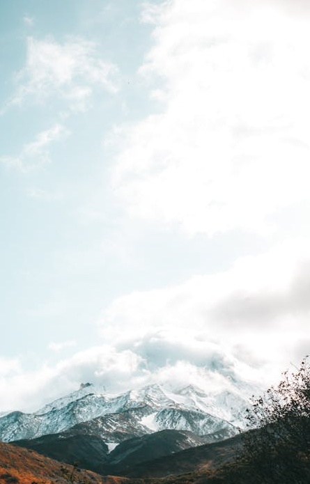 用户在手机上浏览Facebook，体现社交媒体互动