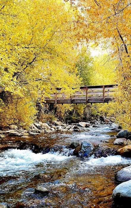 YouTube视频点赞按钮特写