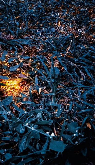 商业人士分析社交媒体数据