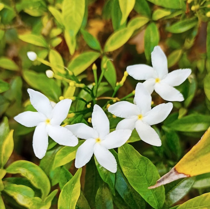 人们在手机上积极参与脸书互动，展示了内容激活社群的重要性