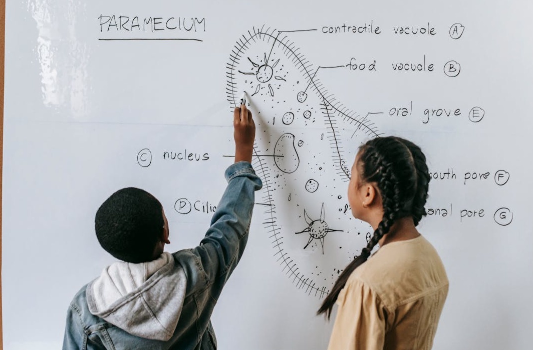 一个专业的营销团队正在分析Twitter买浏览量策略的成效