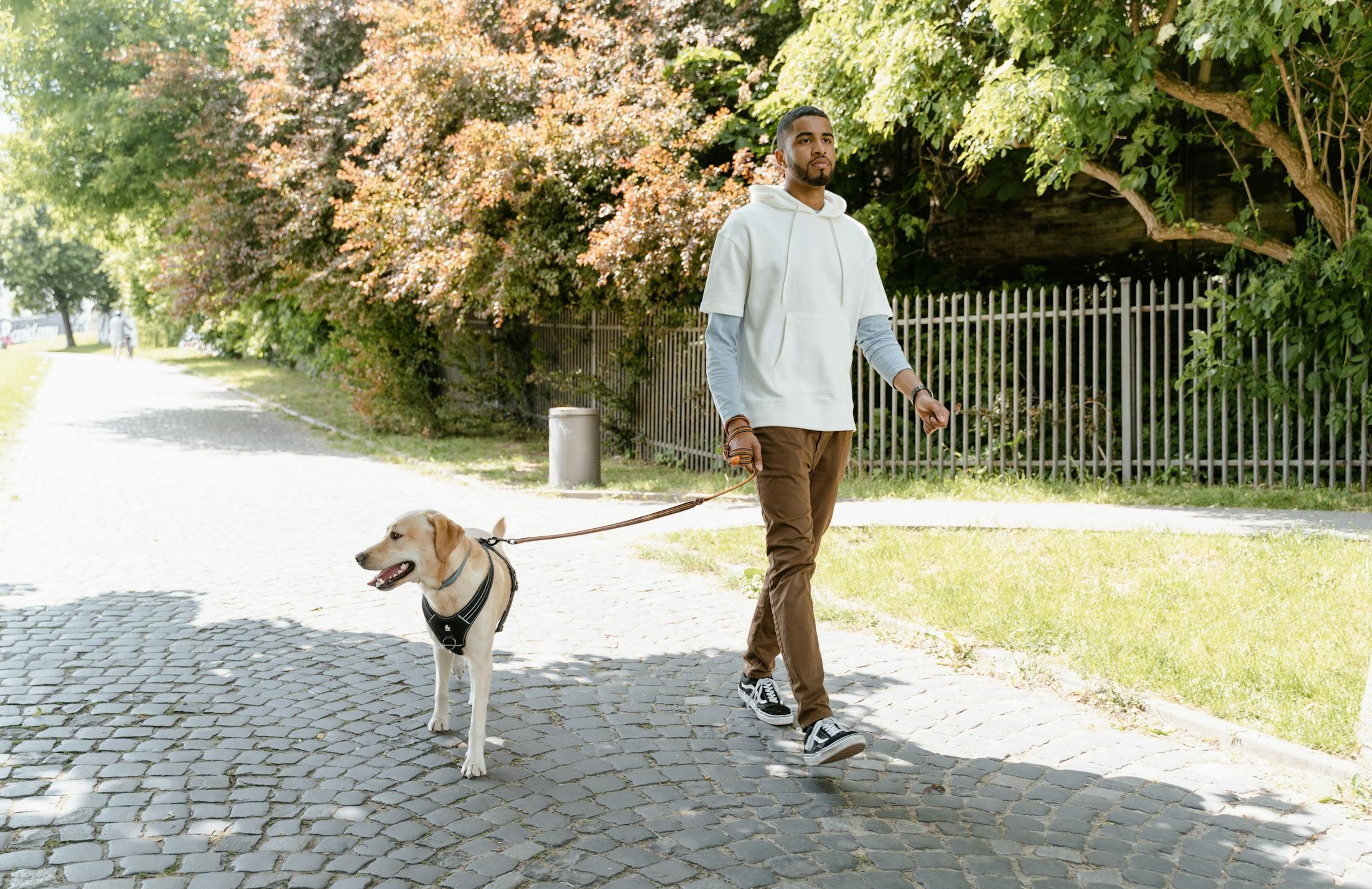 2025年在手机上使用推特X平台