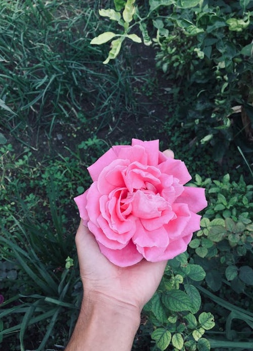 一艘火箭发射升空,比喻YouTube频道的快速启动和成功