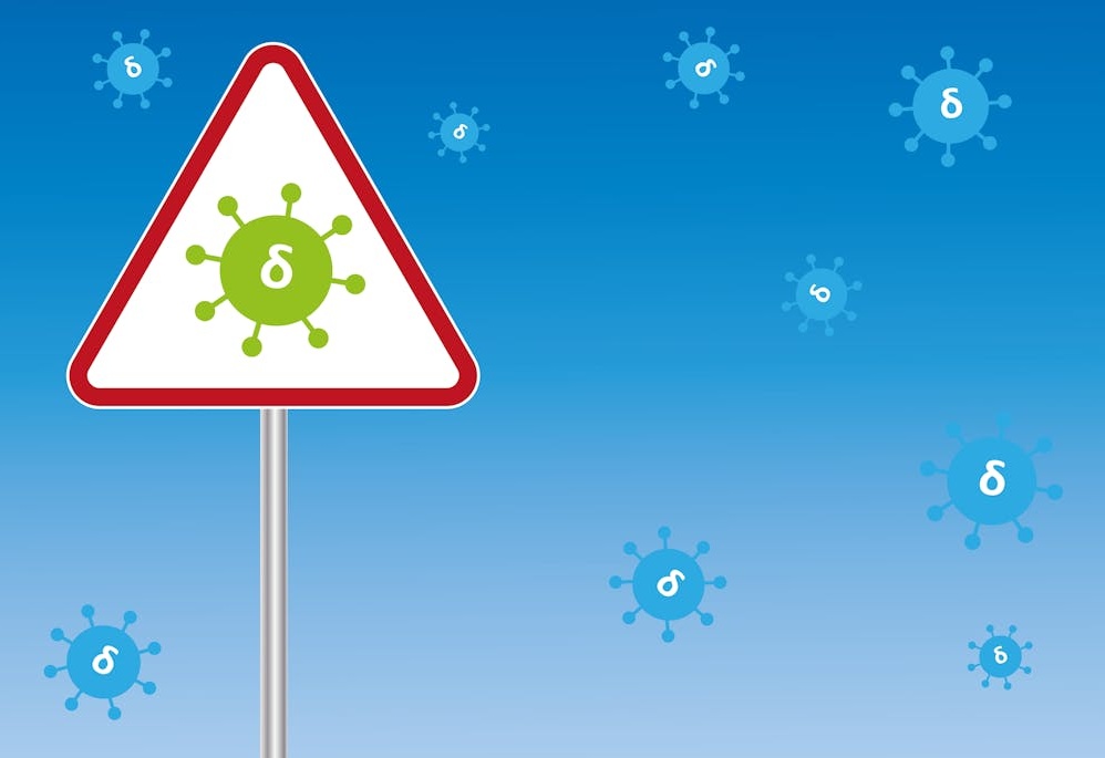 一部手机屏幕上显示的TikTok增长分析图表