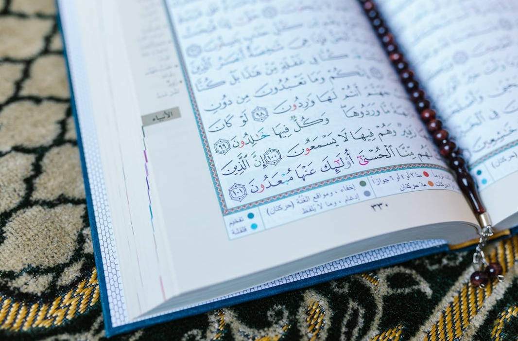 一位创作者正在为Instagram Reels拍摄高质量视频