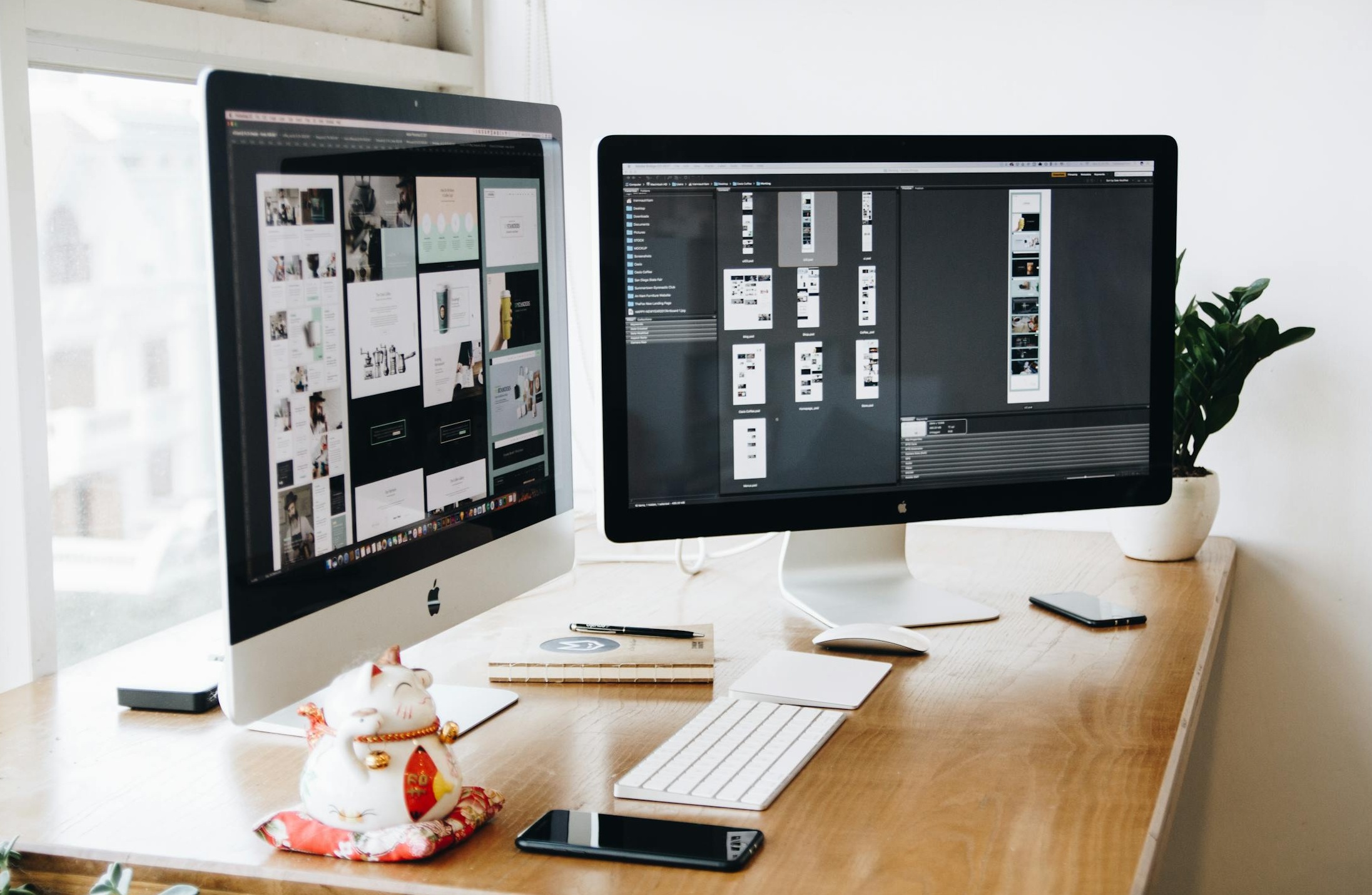 一个现代化的软件工具界面，展示了数据导出功能的简洁性