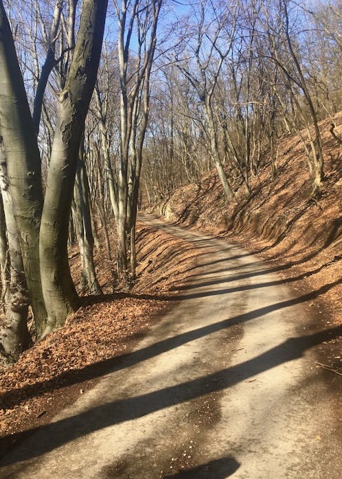 一位创作者正在拍摄TikTok视频