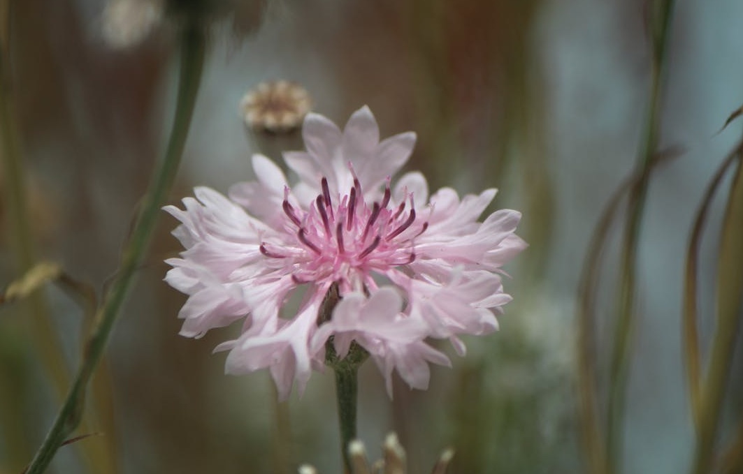 手机屏幕上显示着一条急剧上升的增长曲线图