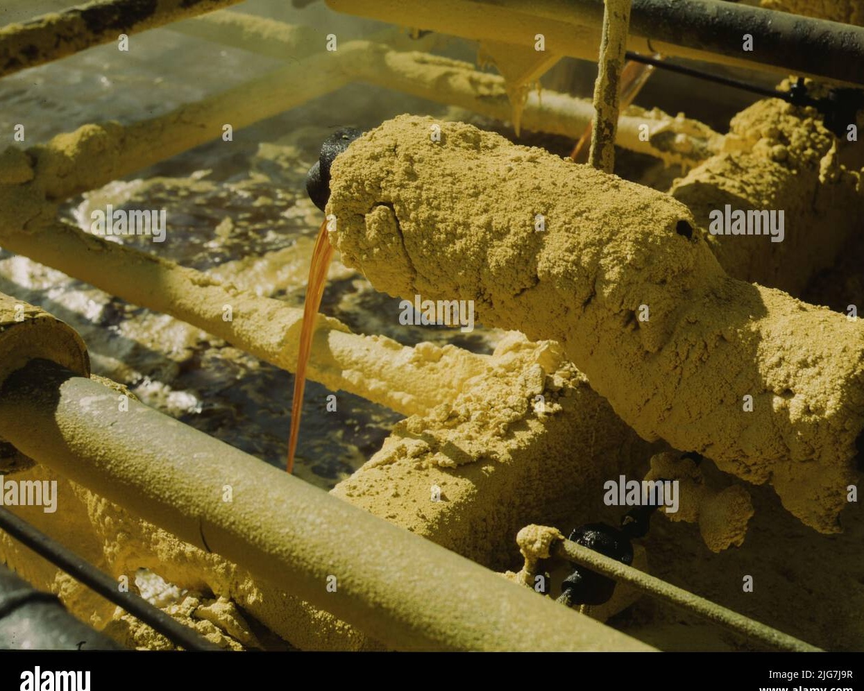 数字营销团队正在制定2025年社交媒体增长策略，讨论数据和分析报告