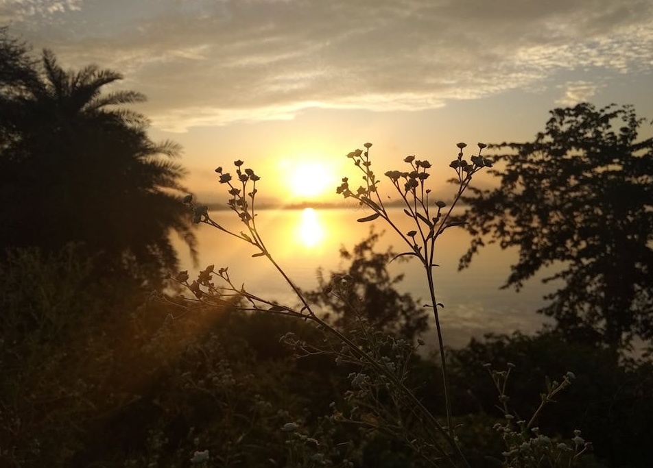 2025年用户在手机上浏览海外抖音TikTok