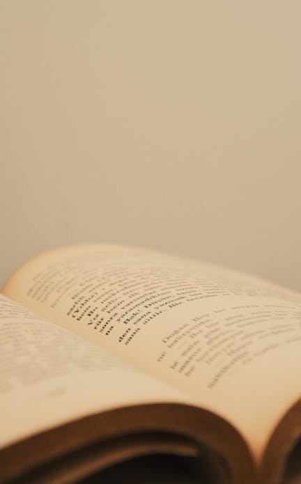 无数点赞和爱心图标体现了TikTok上的强大社会认同效应