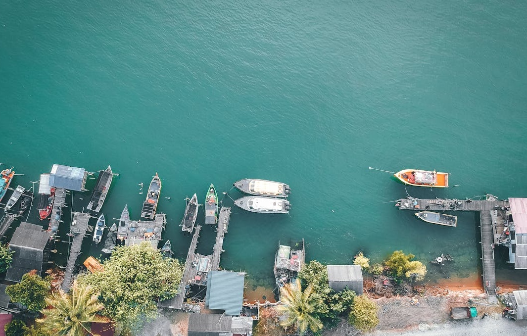 2025年TikTok创作者在分析数据增长