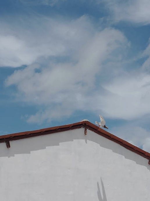 一位内容创作者正在专注地拍摄视频，展现了对高质量内容的投入