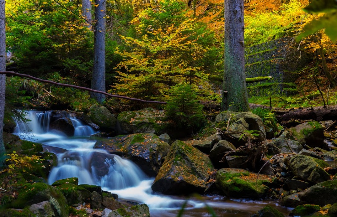 象征YouTube频道通过油管刷订阅策略实现快速增长的上升箭头图表