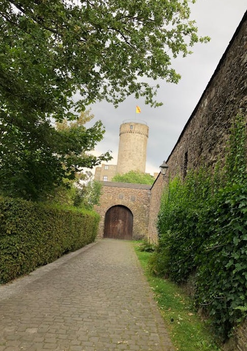 通过优质内容和互动，将购买的粉丝转化为忠实客户