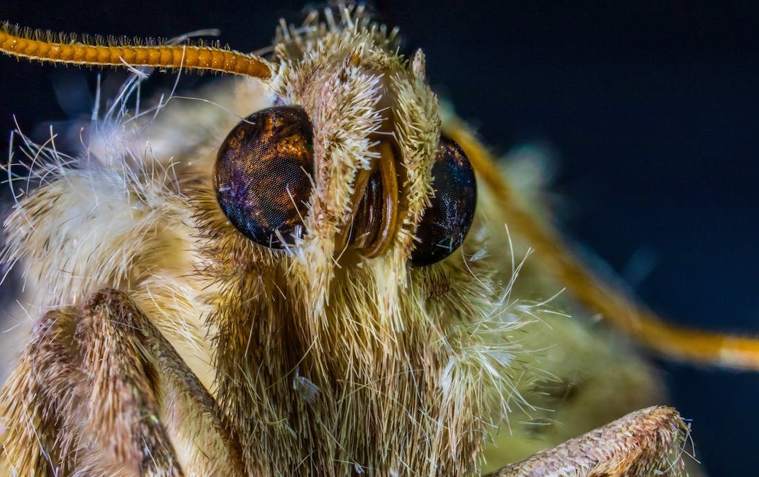一位年轻女性在手机上浏览TikTok，脸上露出惊喜的表情