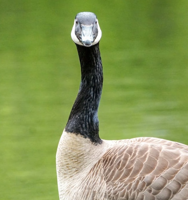 线上社区成员在进行积极的互动和交流