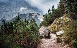 内容创作者因视频高互动量而喜悦