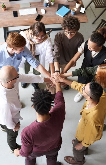 甄别高质量推特粉丝服务