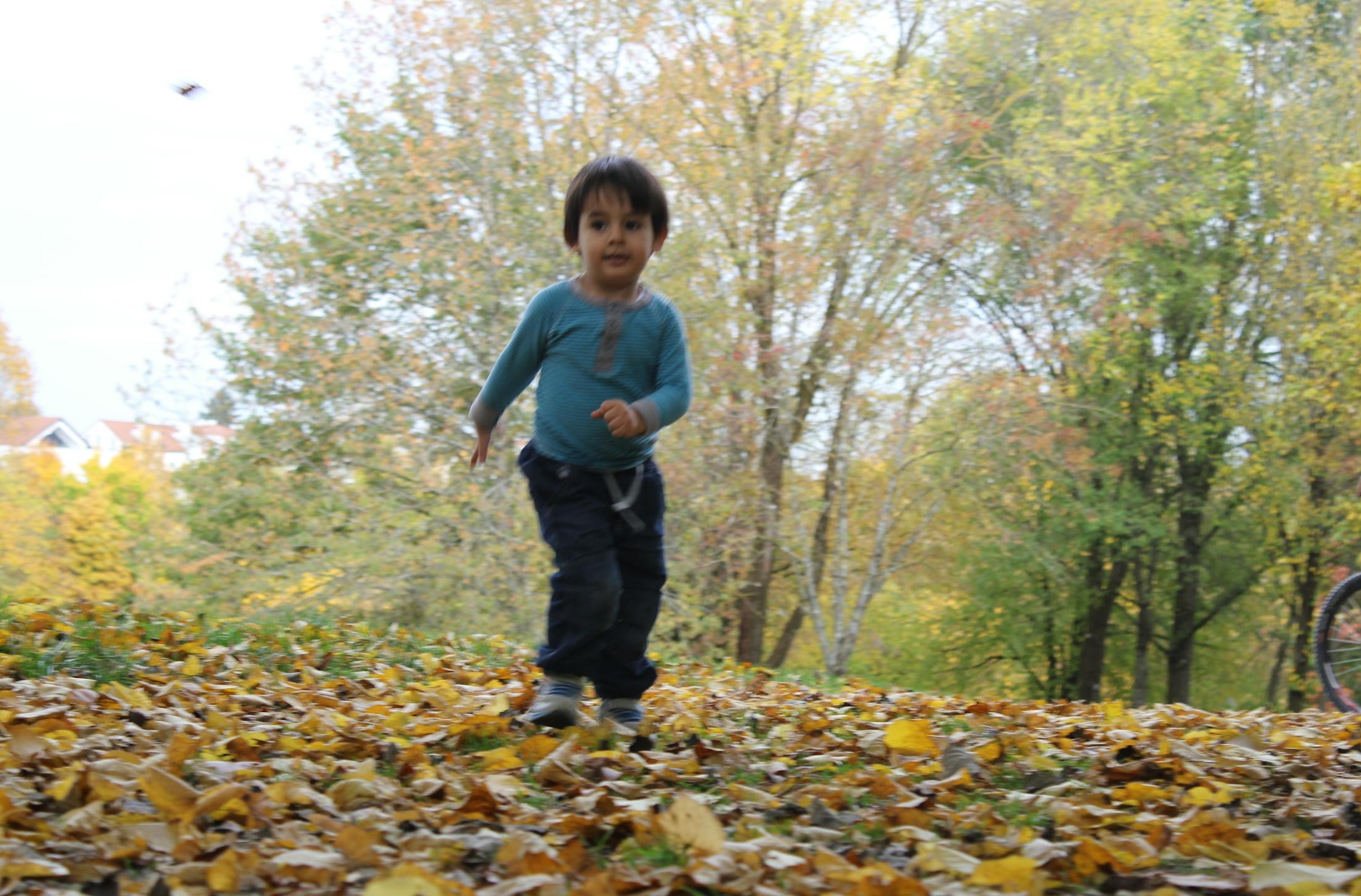 多元化受众群体积极参与和观看IG作品