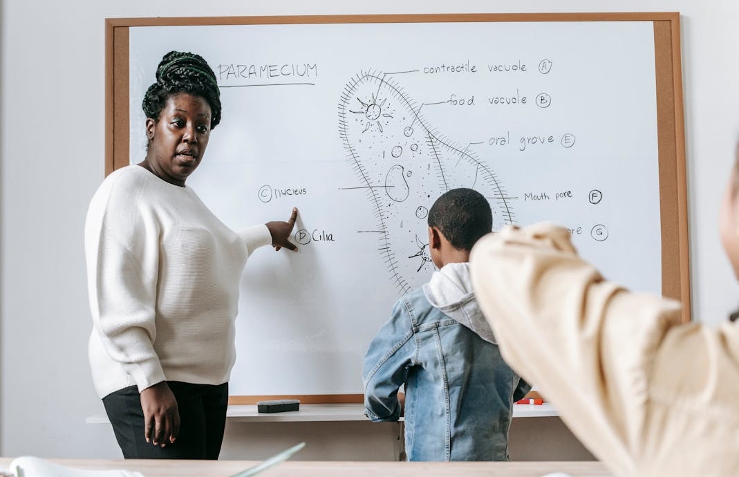 创作者庆祝通过买YouTube粉丝等策略成功达到盈利门槛