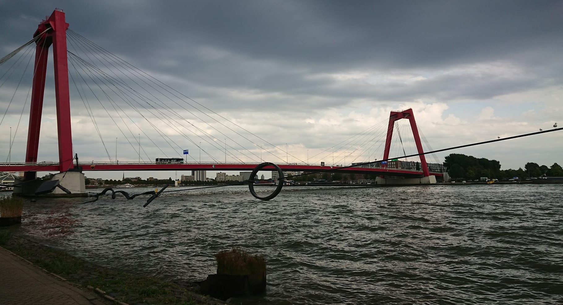 多个手机屏幕并列展示,上面播放着TikTok视频,暗示内容被广泛浏览