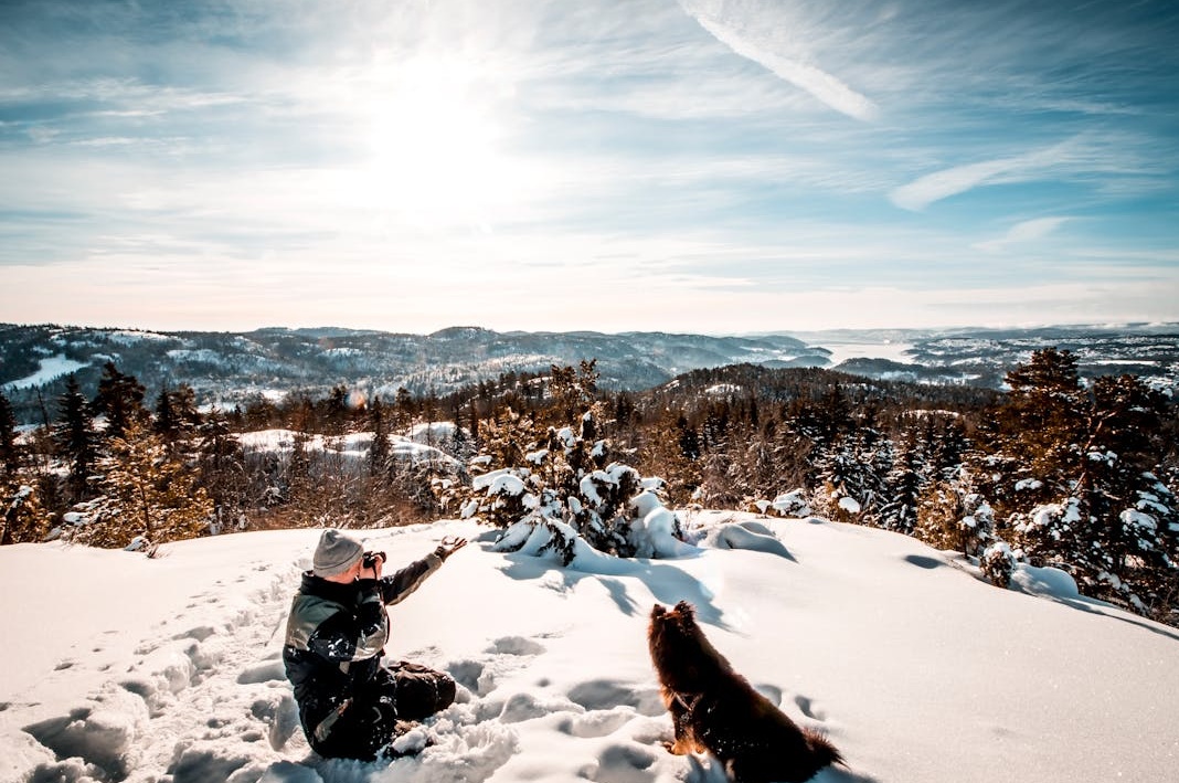 象征快速增长的火箭发射升空