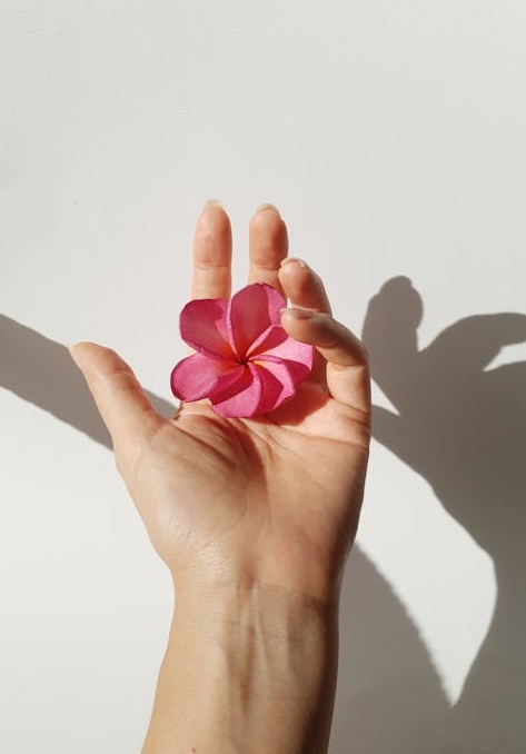 一部手机展示着拥有高粉丝量的TikTok个人主页