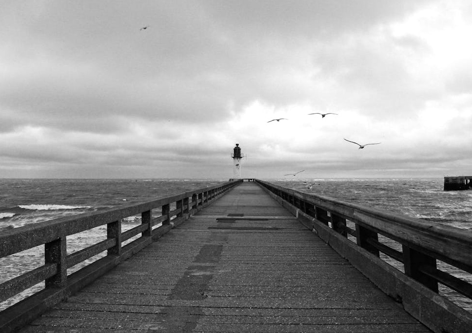 一部智能手机展示着一个拥有大量粉丝和高互动的Instagram个人主页，体现了强大的社会认同效应。