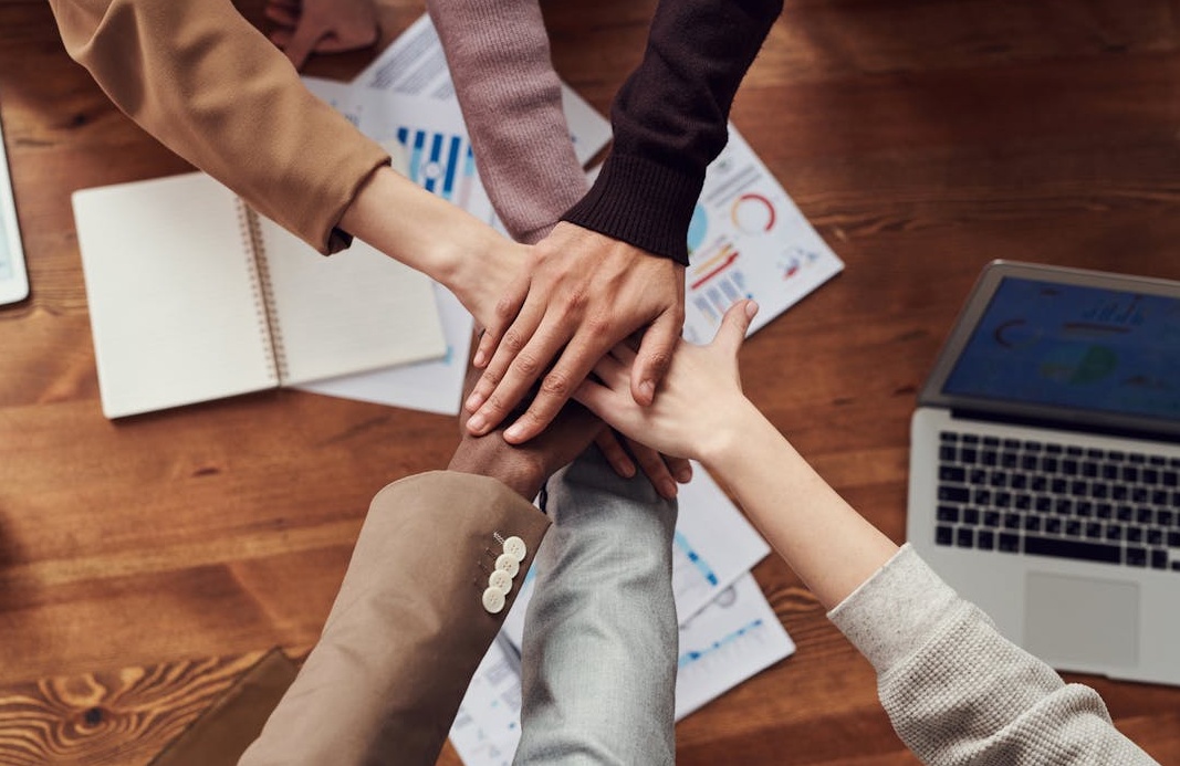 利用社会认同原理吸引自然粉丝