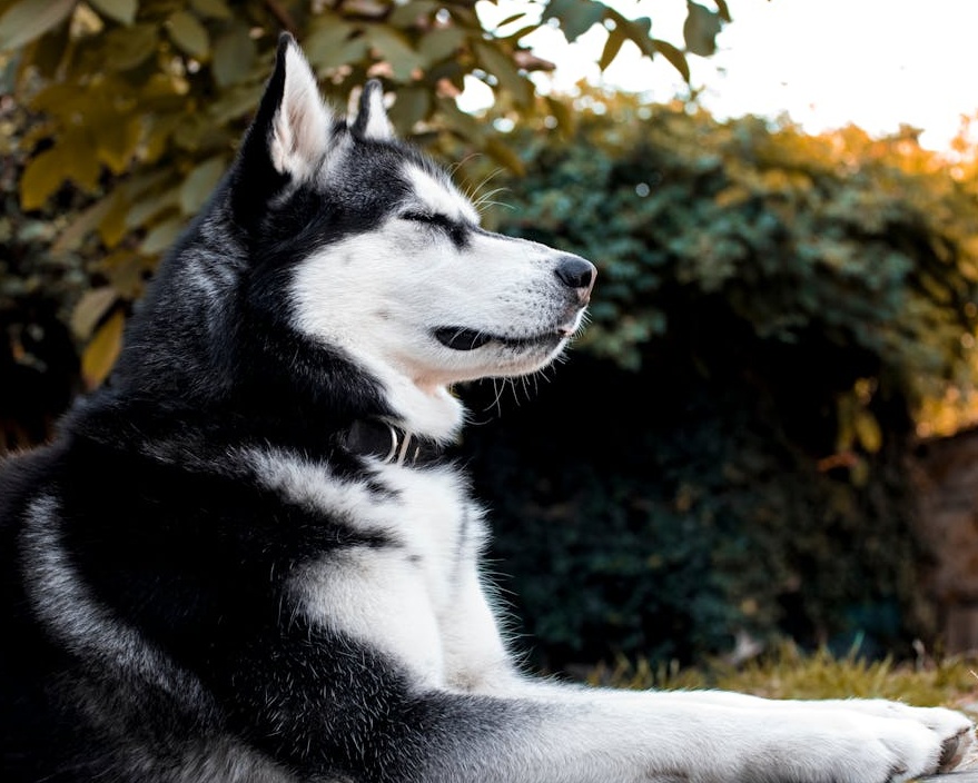 代表做出明智选择的图片