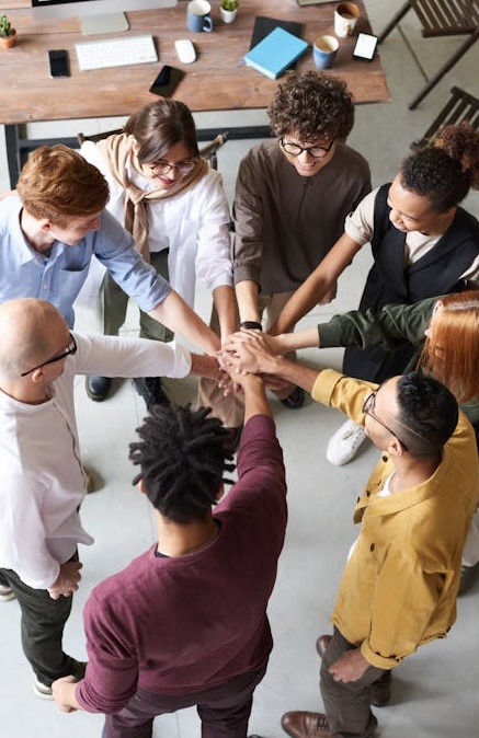 通过增加粉丝数量建立品牌信誉