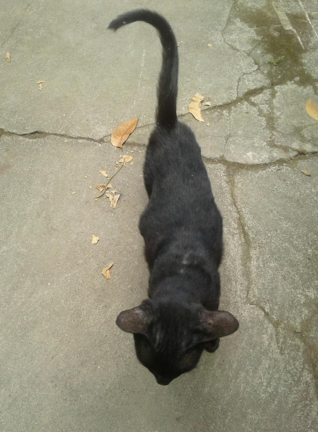 精准定位目标用户群体进行数字营销