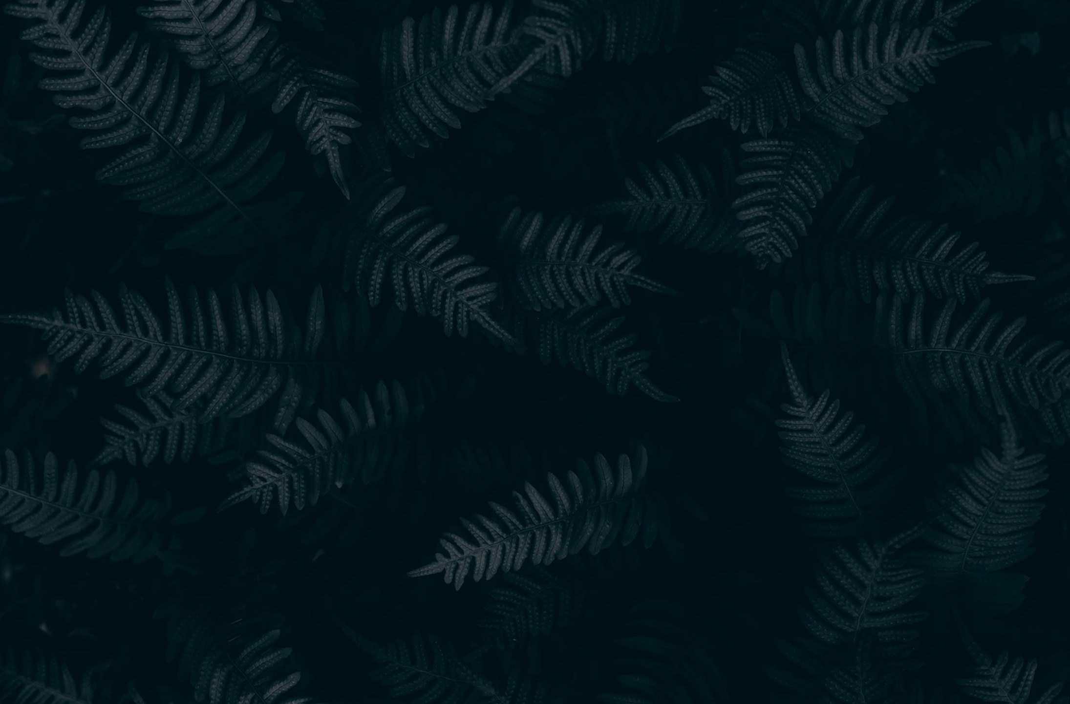 一张包含社交媒体图标和上升趋势线的图表，显示社交媒体策略的成功