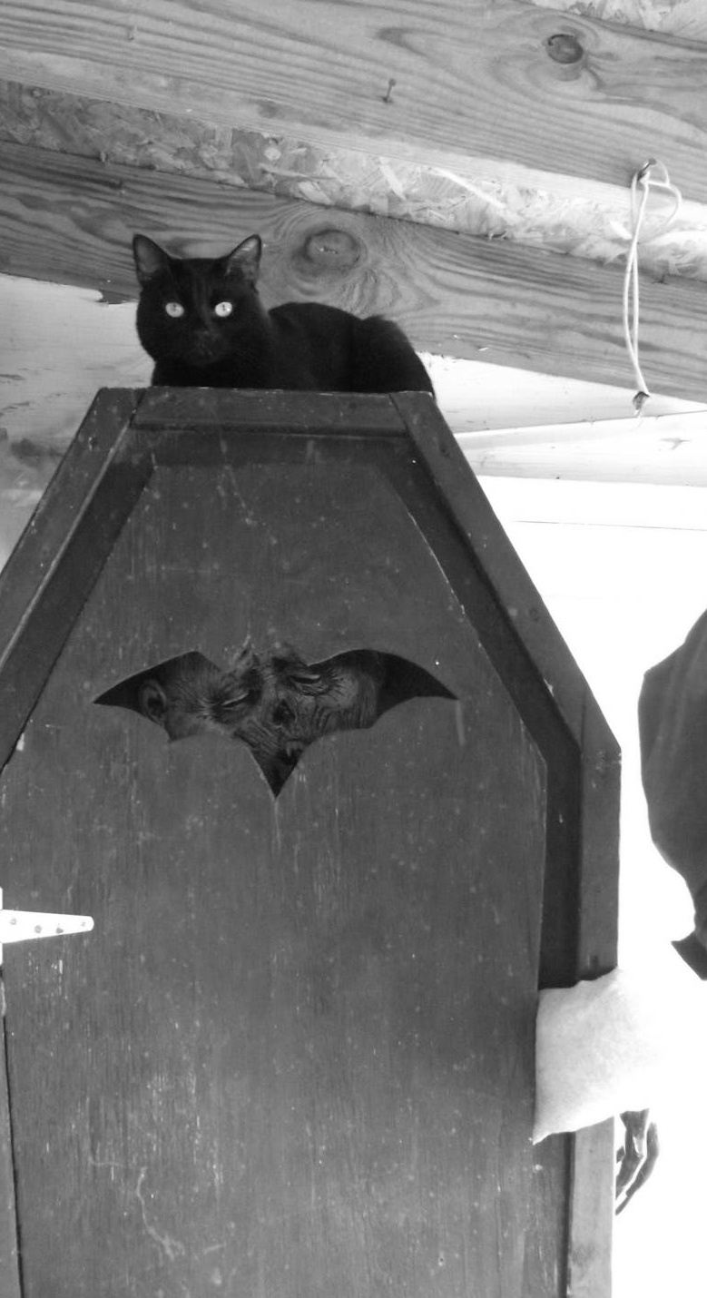 一个平板电脑显示着社交媒体界面，上方有一个点赞的心形图标