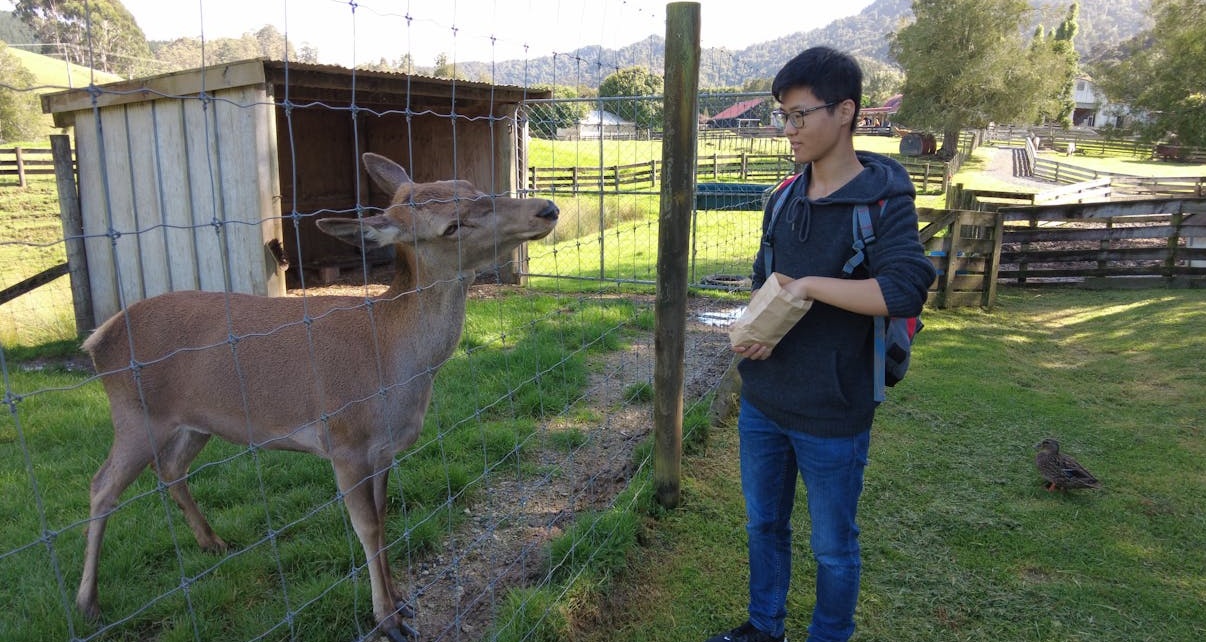 来自全球真实用户的积极Facebook评论