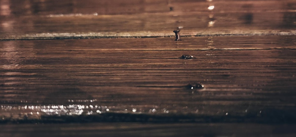 一张显示Instagram粉丝数量和互动率飙升的数据图表