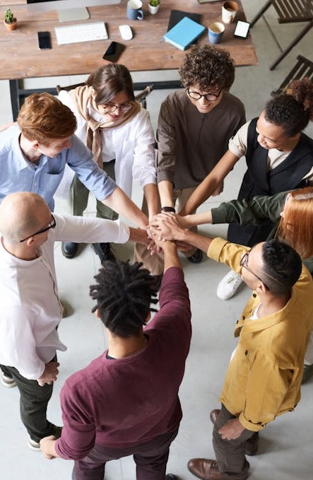 观众对优质内容表示认可和喜爱