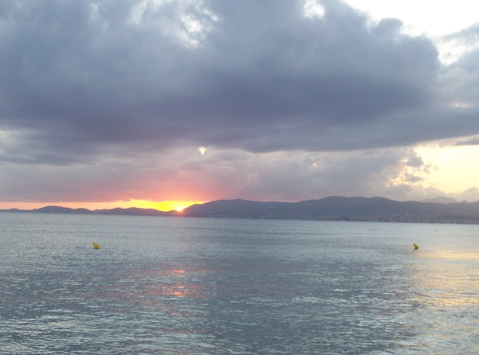 创作者正在为Facebook Reels制作高质量垂直视频内容